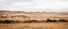 drylands xpath unsplash Bernard Hermant.jpg