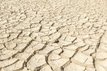 Cracked-Desert-Soil.jpg