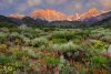california-sierra-nevada-mountains-wildflowers-bloom-in-valley_u-l-q13cycb0.jpg