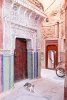 Marrakech-Morocco-Things-to-Do-Medina-Narrow-Streets-Door-Cat.jpg