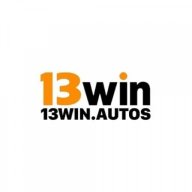 13winautosvn