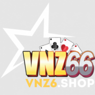 Vnz6shop