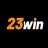 23winvncom